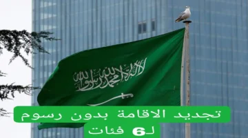 تجديد الإقامة في السعودية دون رسوم لـ 6 فئات من الوافدين: تفاصيل القرار الجديد لوزارة الداخلية